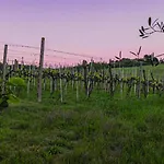 Tenuta Dei Franceschi Luxury Private Pool Countryside *