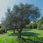 Tenuta Dei Franceschi Luxury Private Pool Countryside فيلة